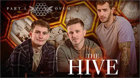 THE HIVE Carter Woods Andrew Delta