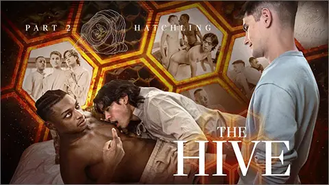 THE HIVE Trevor Harris Ty Santana Jay Wu